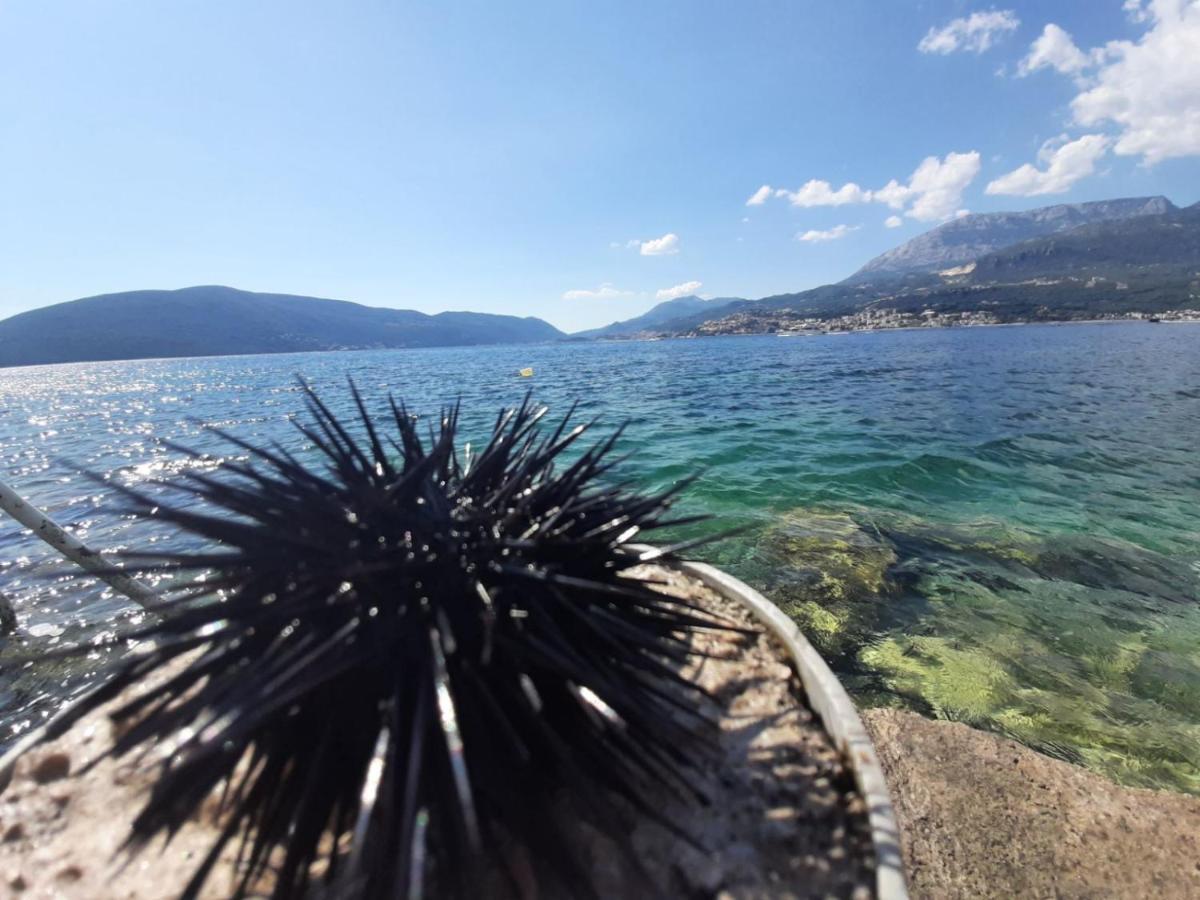 Casa De Laza Apartments Herceg Novi Zewnętrze zdjęcie